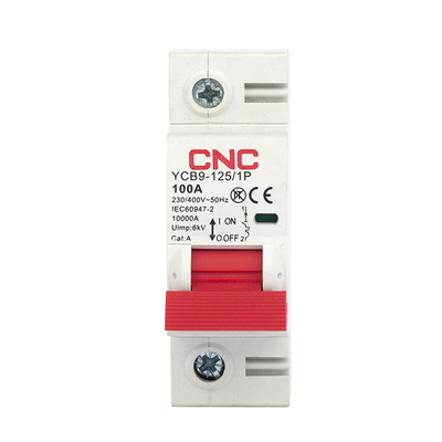 2 Pole 6ka 1p 63 Amp Circuit Breaker High Breaking Capacity 6/10ka Mcb 6000